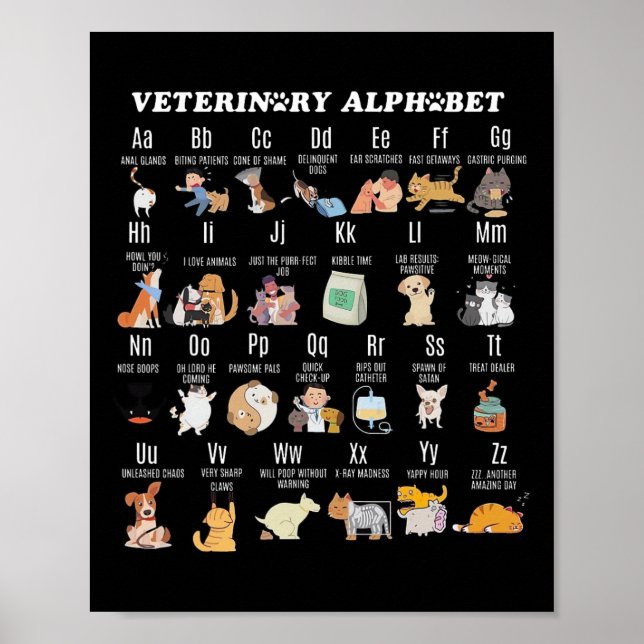 Póster Medicina Veterinaria Alphabet Vet Enfermera Estudi (Frente)