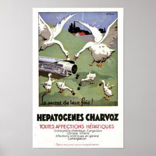 Póster médico francés vintage de Hepatogenes Charv