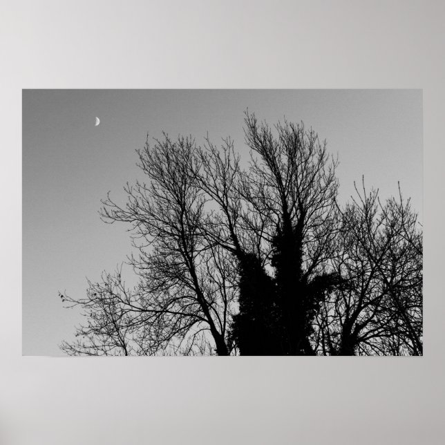 Póster Medieval Winter Afternoon (Frente)