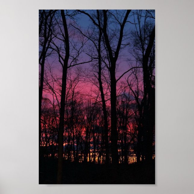 Póster Medio Oeste del Sol a través de los árboles (Frente)