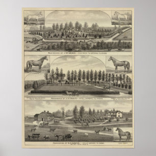 Póster Medios, trucha y sabins en Kansas