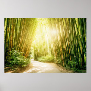 Póster Meditación del paisaje de bambú Serene Calm