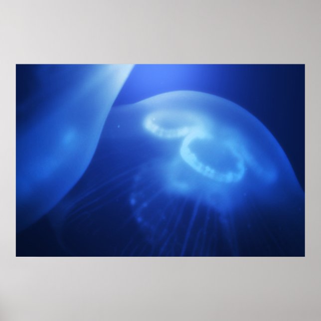 Póster Medusa 1 (Frente)