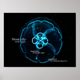 Póster Medusa Luna en Espacio Subacuático