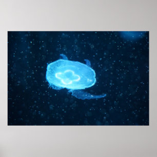 Póster Medusa nadadora azul