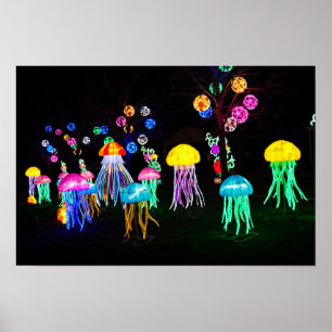 Póster Medusas de Luces