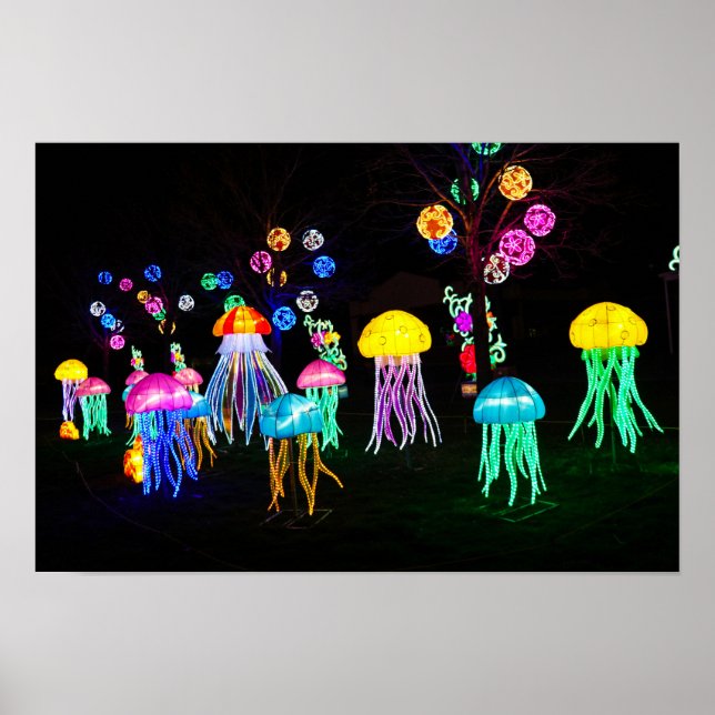 Póster Medusas de Luces  (Frente)