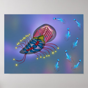 Póster Medusas nadando con amigos