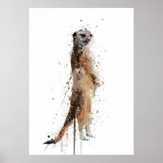 Póster Meerkat