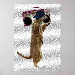 Póster Meerkat con caja de boom gueto blaster