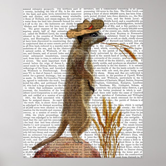 Póster Meerkat Cowboy (Frente)