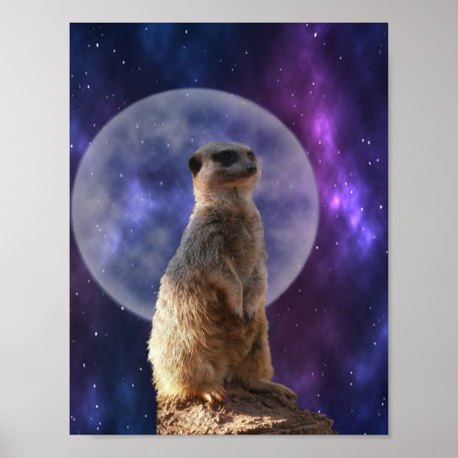 Póster Meerkat En El Reloj Nocturno, Poster De Pared (Frente)