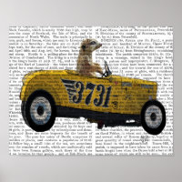 Meerkat en Hot Rod