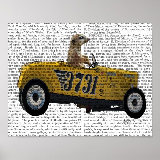 Póster Meerkat en Hot Rod (Frente)