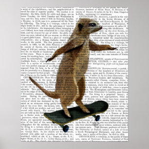 Póster Meerkat En Skateboard