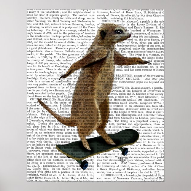 Póster Meerkat En Skateboard (Frente)