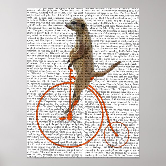 Póster Meerkat sobre la Naranja Penny Farthing (Frente)