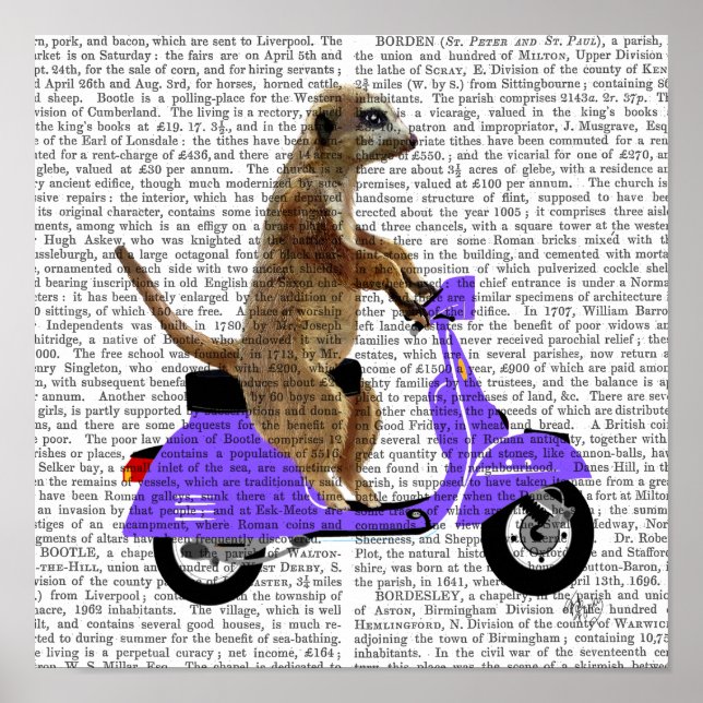 Póster Meerkat sobre Lilac Moped (Frente)