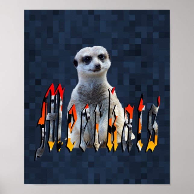Póster Meerkat With Meerkats Logo, (Frente)