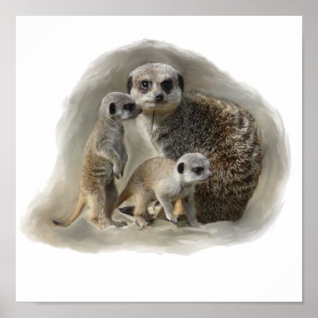 Póster meerkats (Frente)