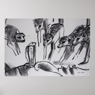 Póster Meerkats mobbing Cobra - Art Print