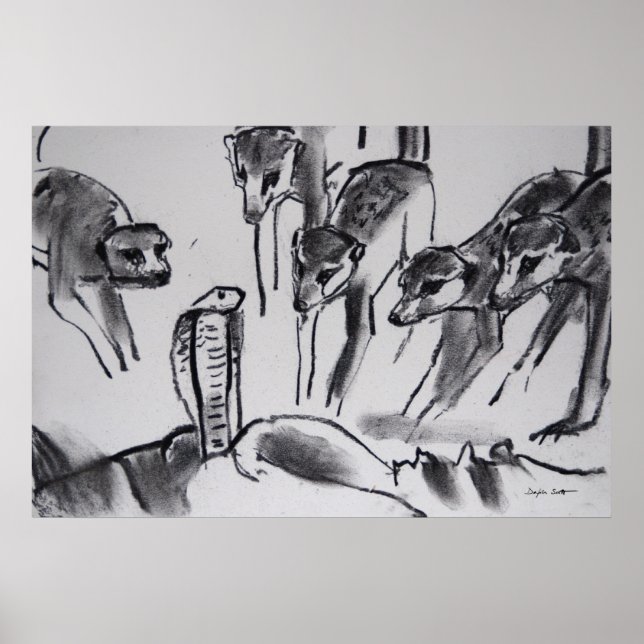 Póster Meerkats mobbing Cobra - Art Print (Frente)