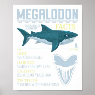 Póster Megalodon Hechos Meg Fósil De Dientes De Tiburón P