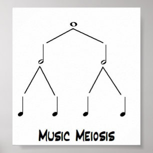 Póster Meiosis de la música
