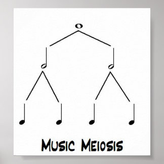 Póster Meiosis musical