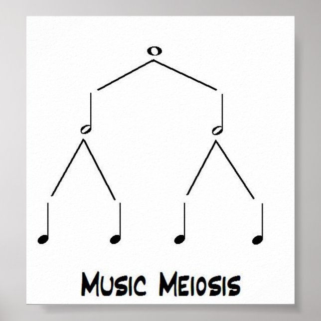 Póster Meiosis musical (Frente)