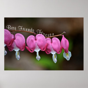 Póster Mejor Amigos para siempre