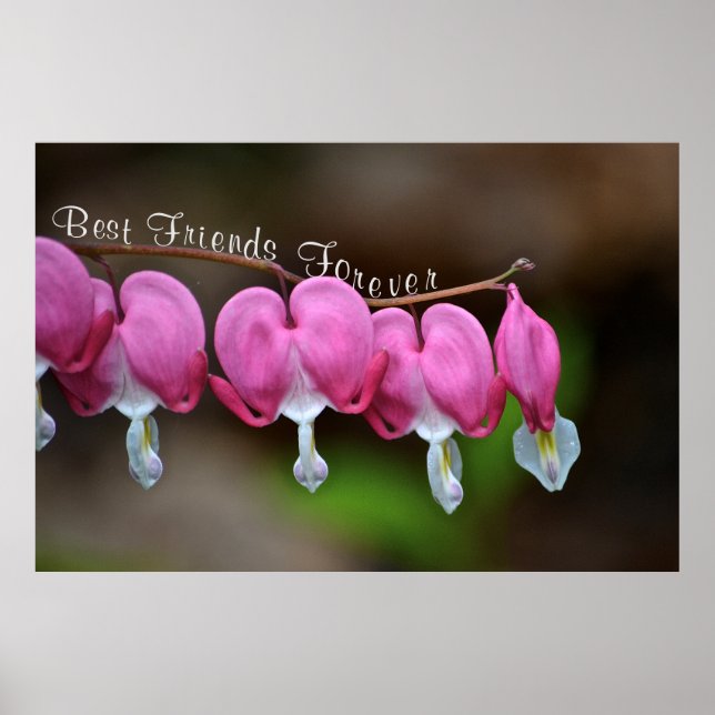 Póster Mejor Amigos para siempre (Frente)