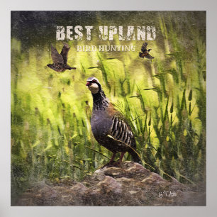 Póster Mejor Caza de Pájaros de Upland
