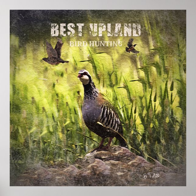 Póster Mejor Caza de Pájaros de Upland (Frente)