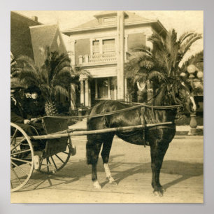 Póster Mejor Domingo