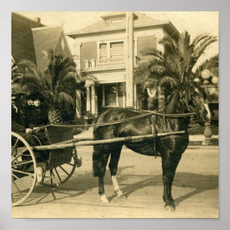 Póster Mejor Domingo