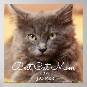 Póster Mejor foto de mamá de gato