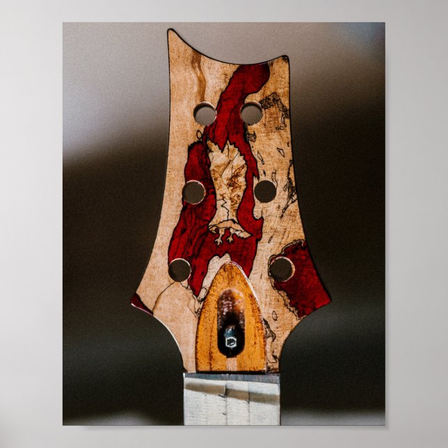 Póster Mejor Guitarista de la Historia (Frente)