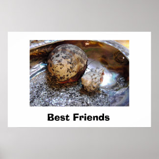 Póster Mejores amigos