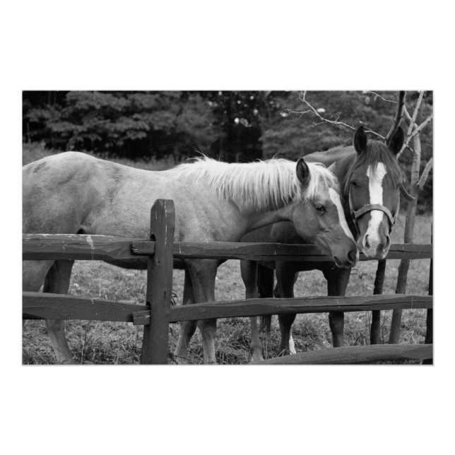 Póster Mejores amigos (Anverso)