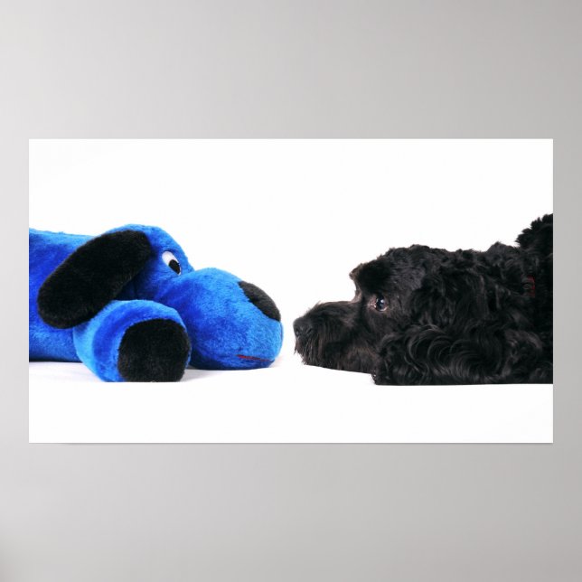 Póster Mejores amigos (Frente)