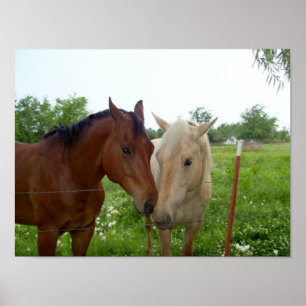 Póster Mejores amigos de BFF para siempre