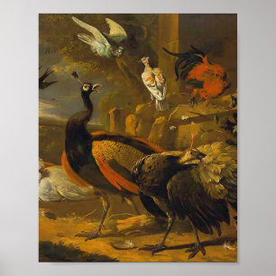 Póster Melchior d'Hondecoeter - Aves en un parque