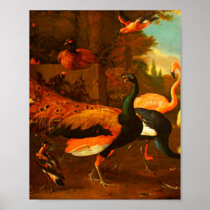 Póster Melchior d'Hondecoeter - Aves en un parque