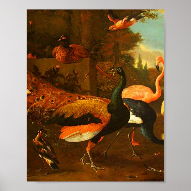Póster Melchior d'Hondecoeter - Aves en un parque (Frente)
