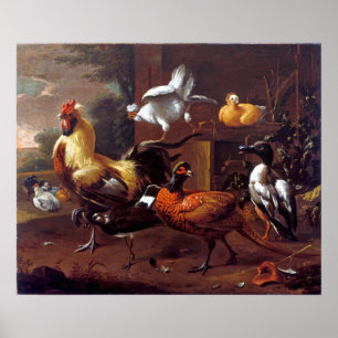 Póster Melchior d'Hondecoeter Chicken Yard
