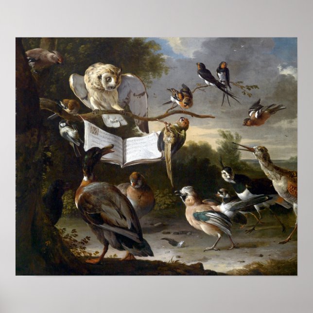 Póster Melchior d'Hondecoeter El Concierto de las Aves (Frente)
