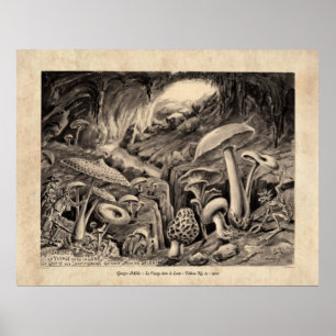 Póster Méliès Voyage dans la Lune Tableau 15 Poster