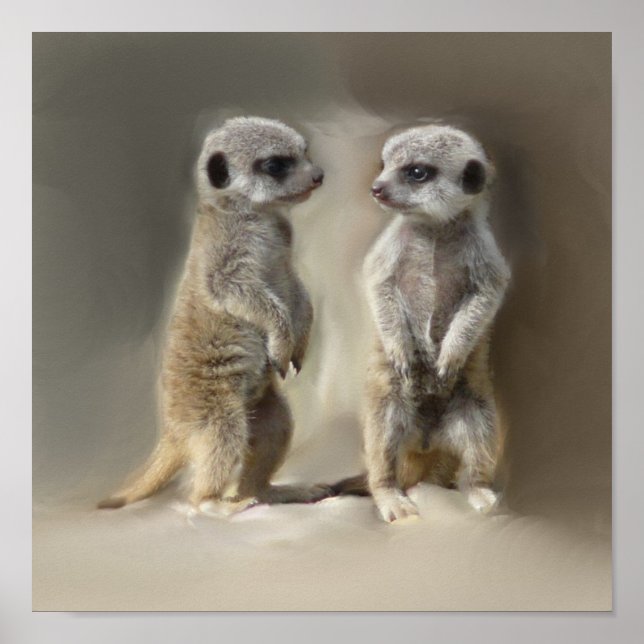 Póster Mellitus de Meerkat (Frente)