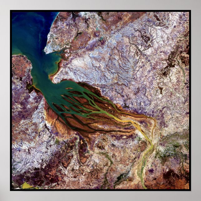 Póster Melocotonería de Madagascar (Frente)